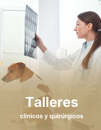 Talleres