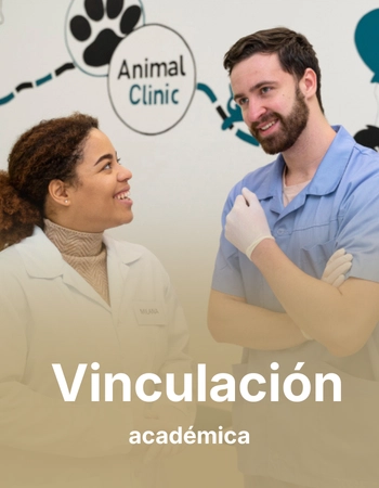Vinculación