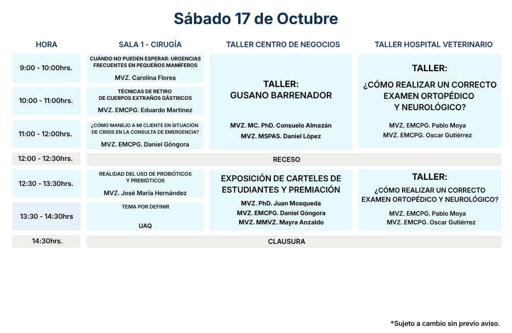 Sábado 17 de Octubre