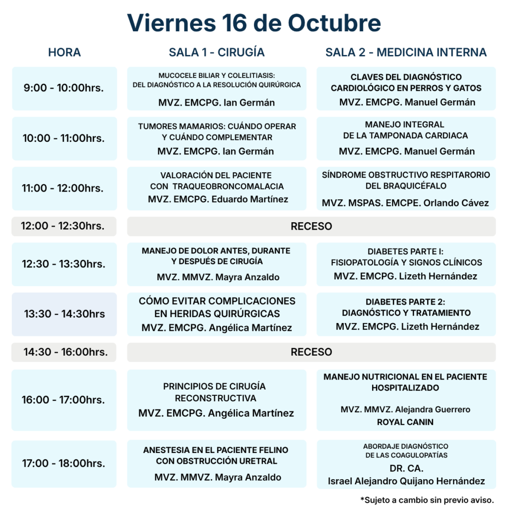 Programa II MCPG 2026 - Viernes 16